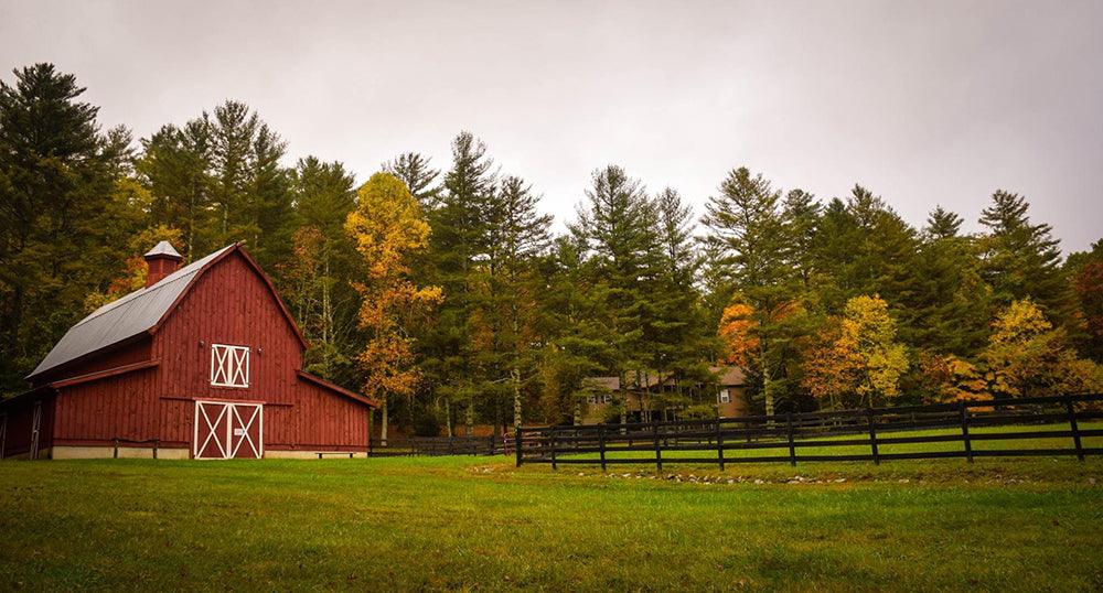 How To Plan Out Your Land For Livestock - Pet Control HQ