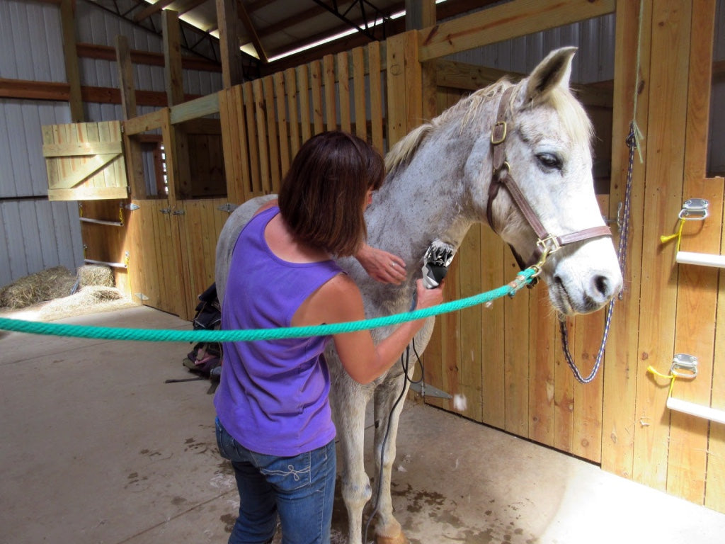 new 380w electric horse shears clippers grooming trimming