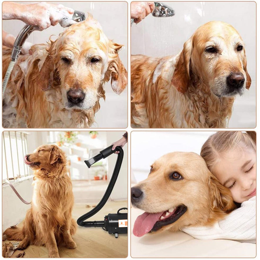 dog pamper pack hairdryer shampoo combo