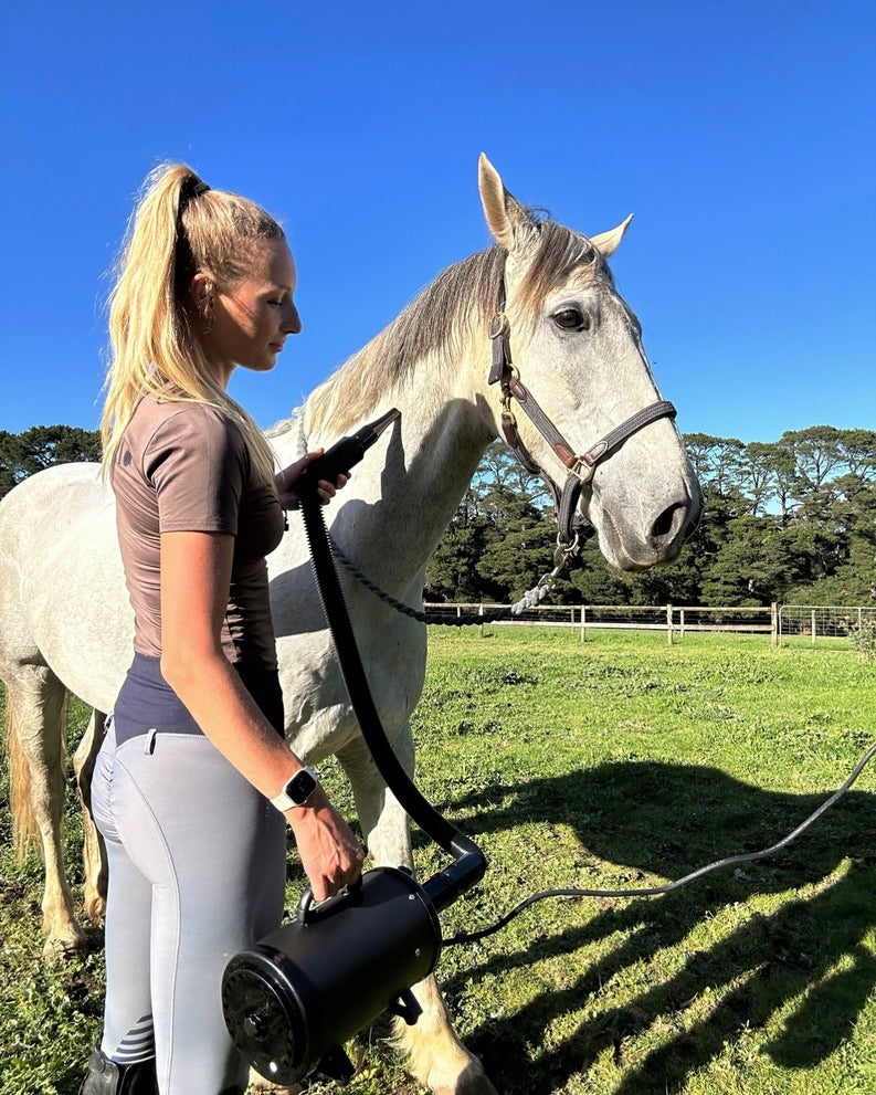 Woman using a professional grooming hairdryer from the Horse Spa Pamper Pack on a white horse outdoors in a sunny field