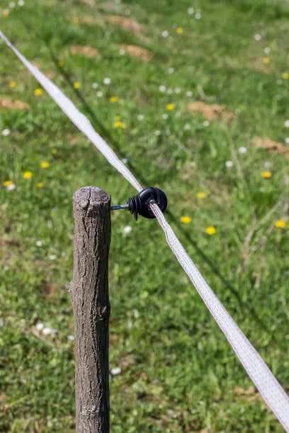 ultimate solar electric fence charger starter pack