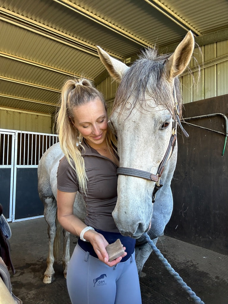 horse shampoo handmade with neem oil for dogs horses