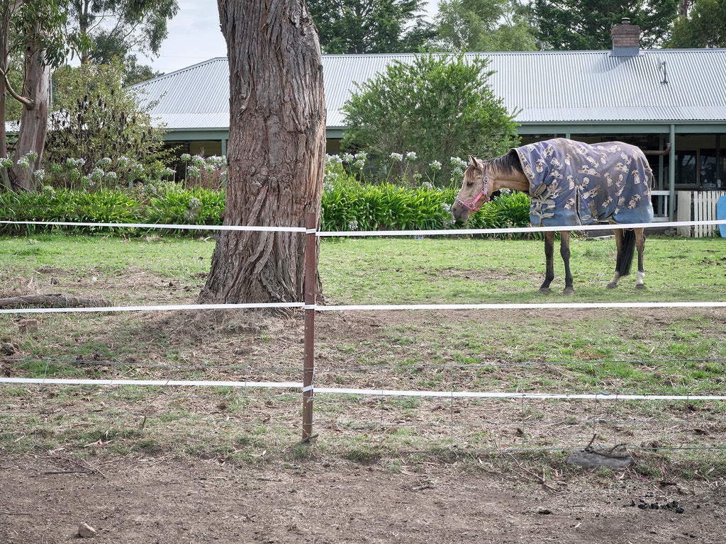 polytape electric fence