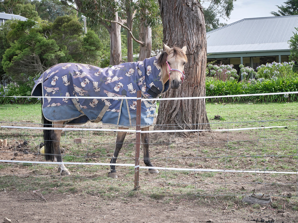 polytape electric fence